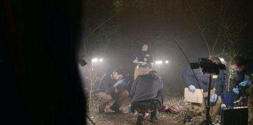 目击者美剧 在线观看,揭秘真实事件背后的惊人真相